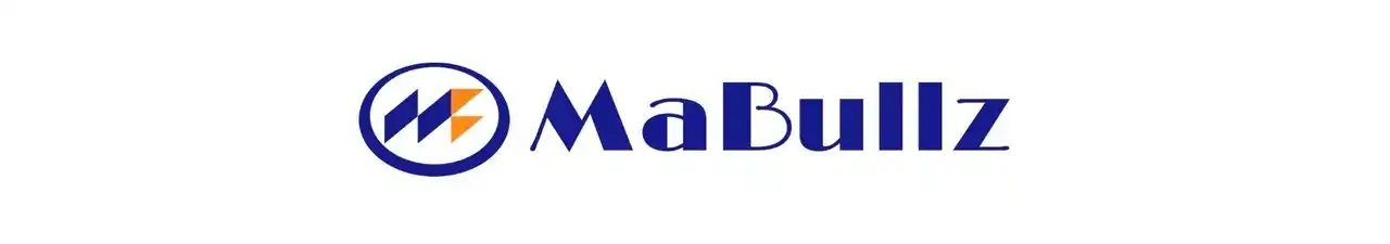 【株式会社マイクロアド】 株式会社ブルズと合弁会社「株式会社MaBullz」を設立し、日本在住の外国人インフルエンサーに特化した「グローバルエージェント」事業を開始