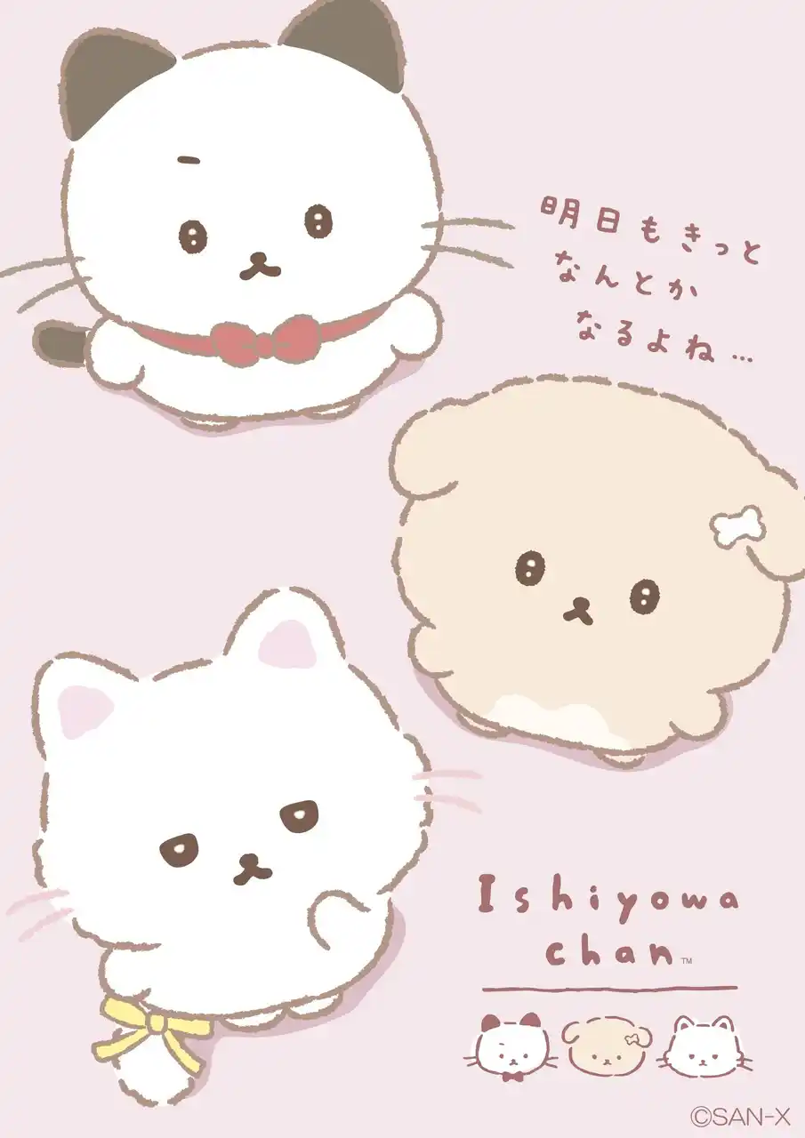 【サンエックス】 いしよわちゃんに、かしこくて世渡り上手な新キャラ「後輩ちゃん」が登場！『後輩ちゃん登場』テーマ9月上旬発売