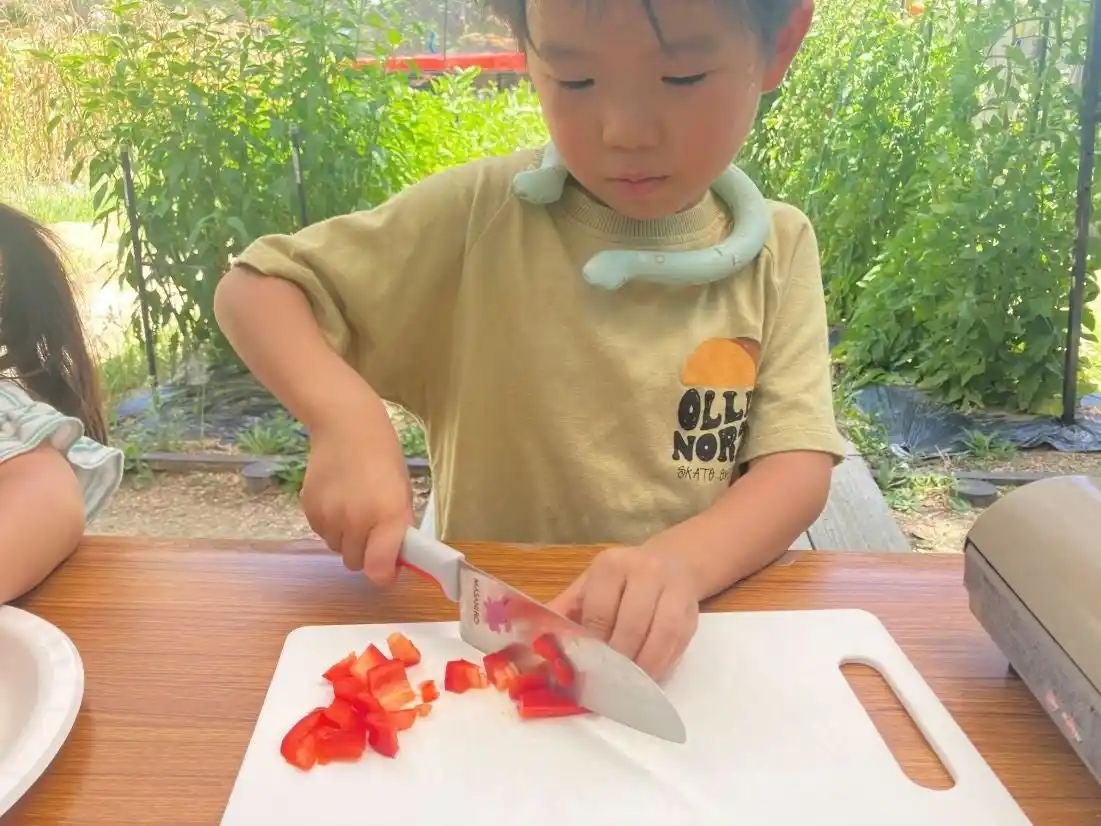 【カゴメ株式会社】 ＜カゴメ、ヤンマーマルシェ、タキイ種苗による【植育から始まる食育】活動＞「農園の料理教室」で子ども達が自ら育てた夏野菜３５０gで「ラタトゥイユのリゾット」を作ってペロリ！