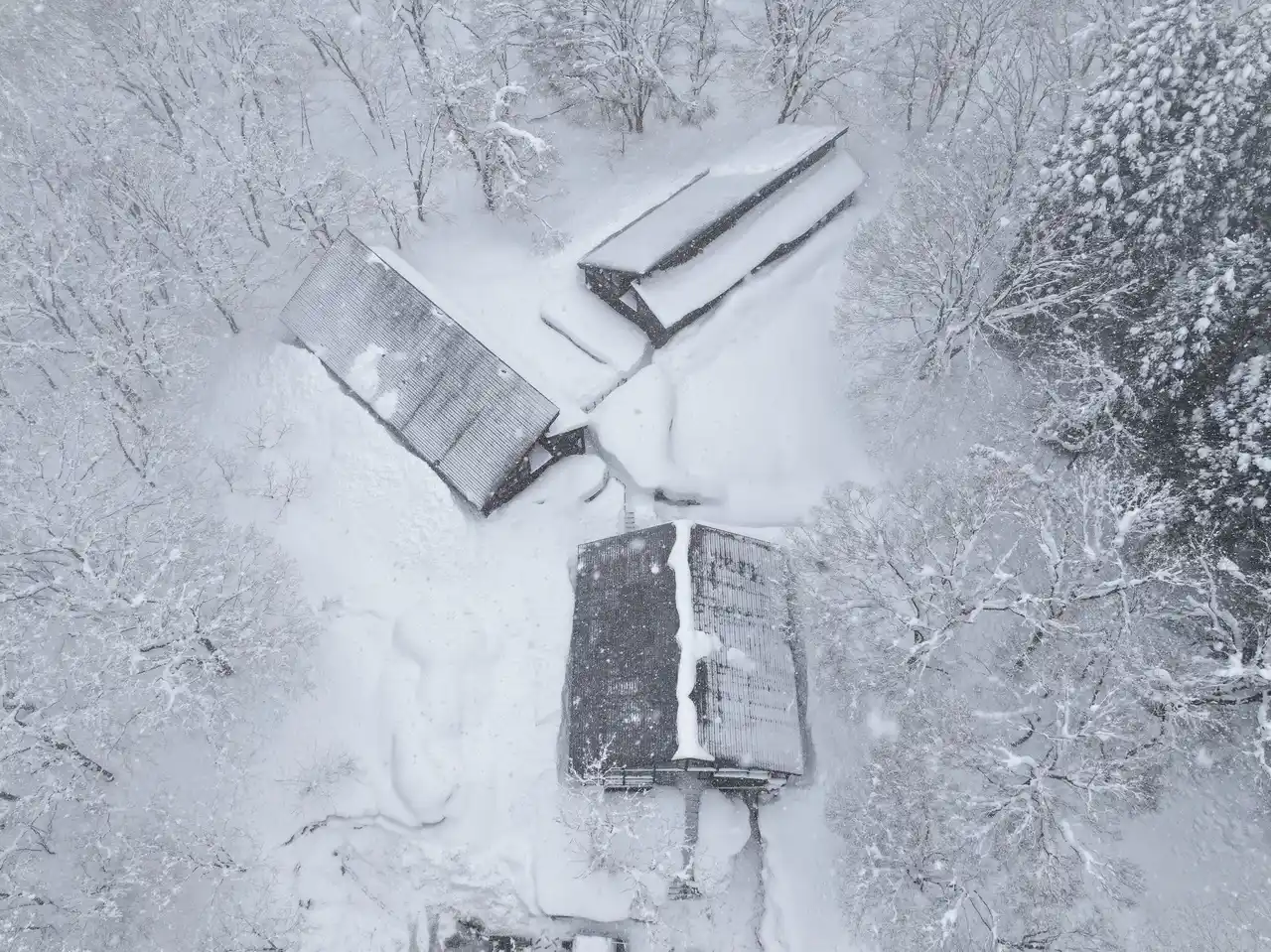 【サウナイン株式会社】 新潟県妙高市にホテルをリノベーションしたサウナリトリート施設「サウナイン新潟妙高高原」プレオープン