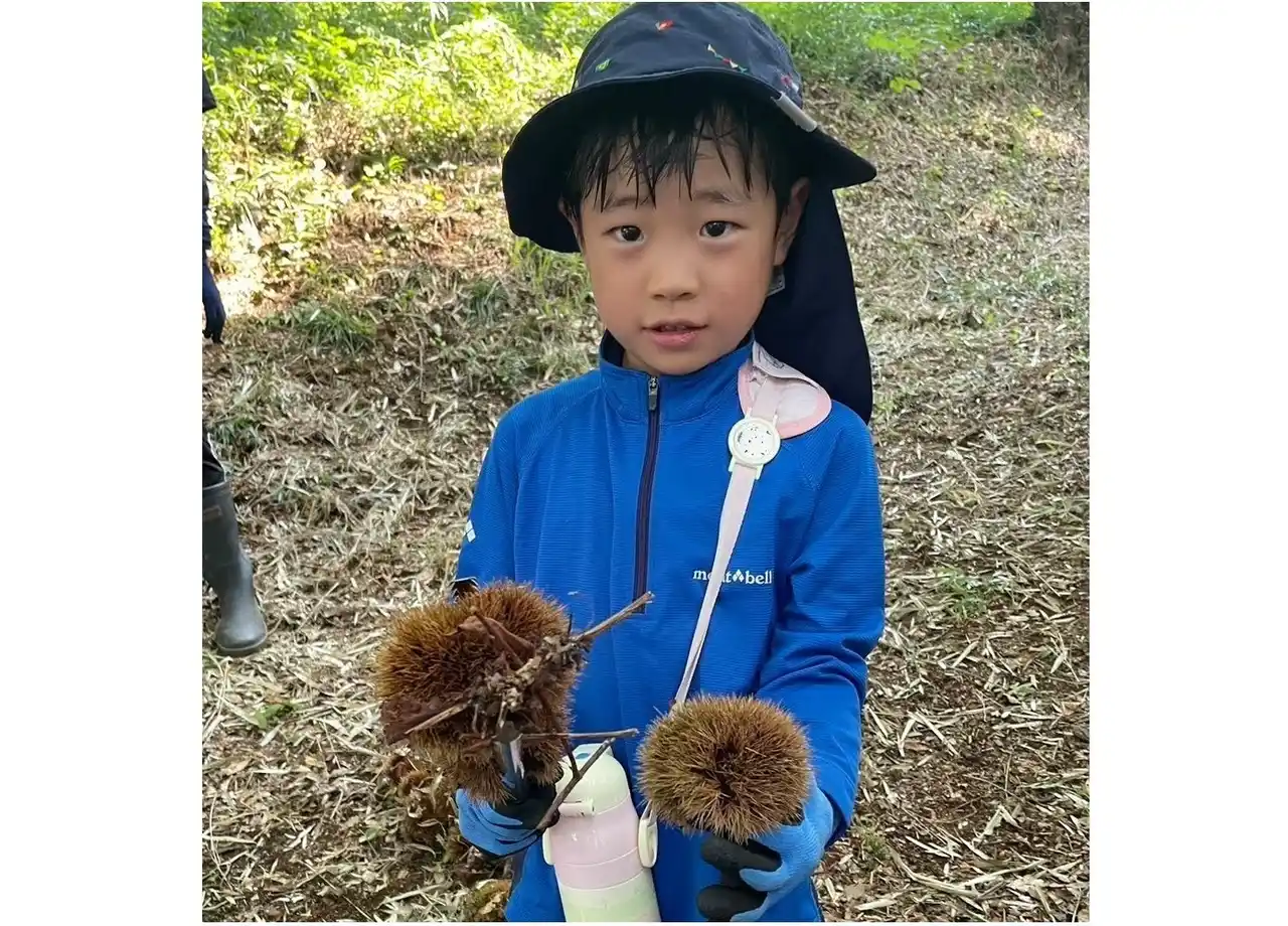 【パルシステム連合会】 秋を迎えに栗拾い　稲城市の里山でどんぐりアートづくり　9月7日（日）・14日（日）〔東京〕