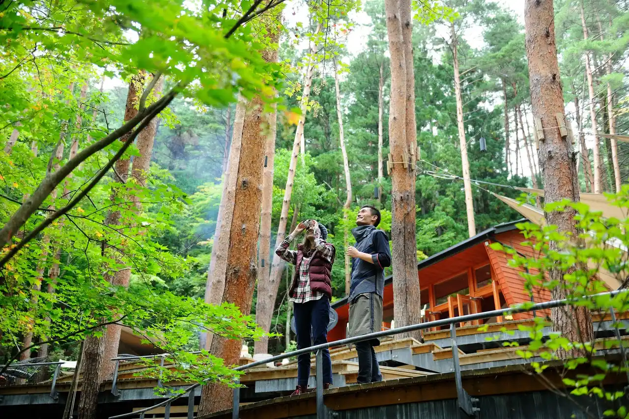 【星のや富士】富士山麓の大自然と鍼灸指圧マッサージで心身を調える「森のウェルネスひとり旅」を開催