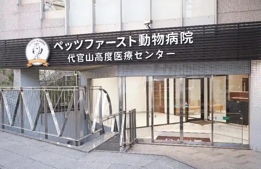 【ペッツファーストホールディングス株式会社】 ペッツファースト動物病院　代官山高度医療センター開業３周年
