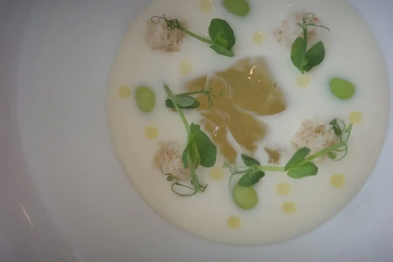 【清澄白河】犬同伴OKフレンチ「bistro momo」2025年9月6日よりランチ営業をスタート