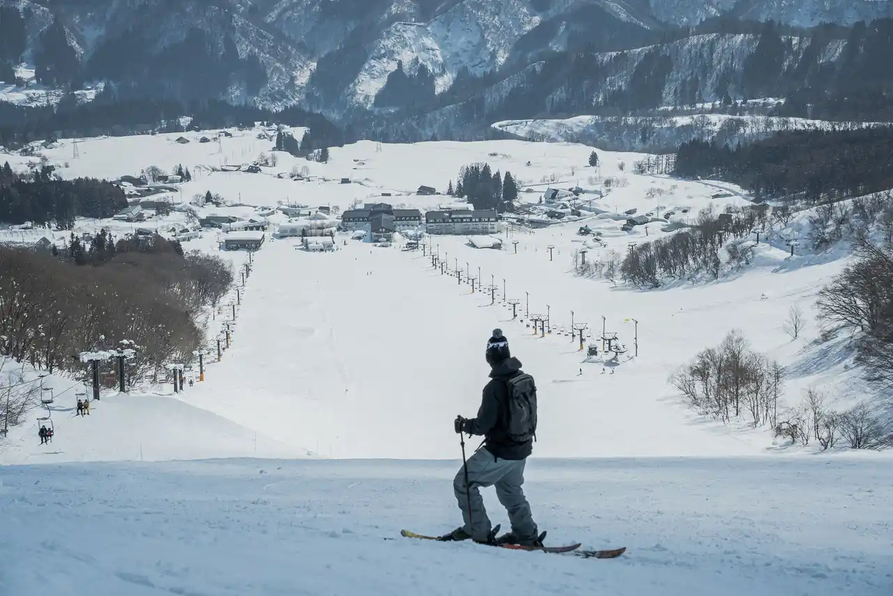 【白馬アルプスホテル】 白馬乗鞍温泉スキー場、白馬コルチナスキー場との共通シーズンパスを9/1より販売開始　2025-2026冬季シーズンはヘリスキーがトップシーズンから登場