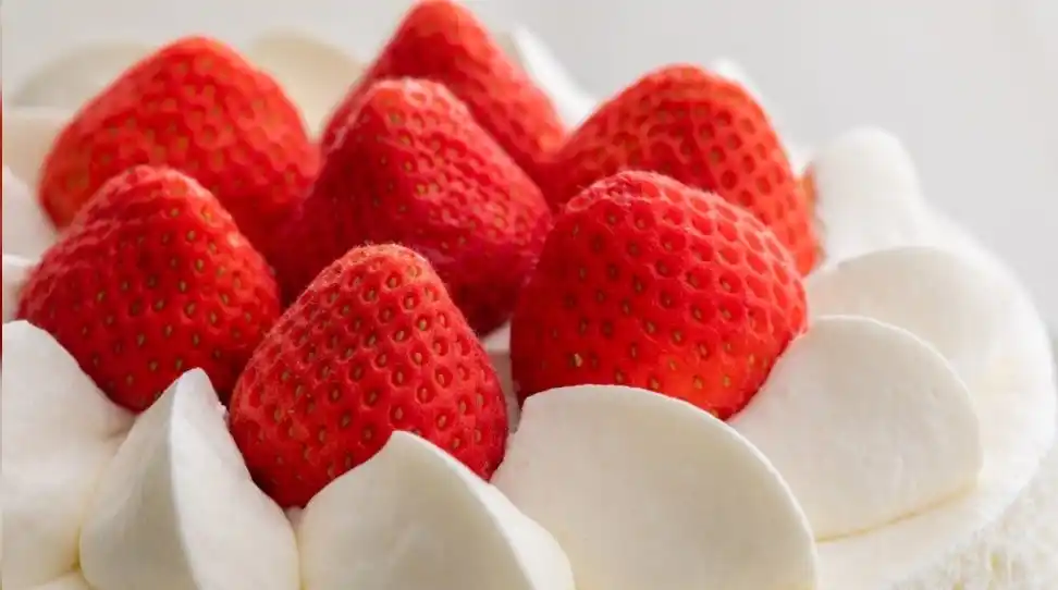 【野口観光マネジメント株式会社】 【登別石水亭】入学おめでとうプランのご案内