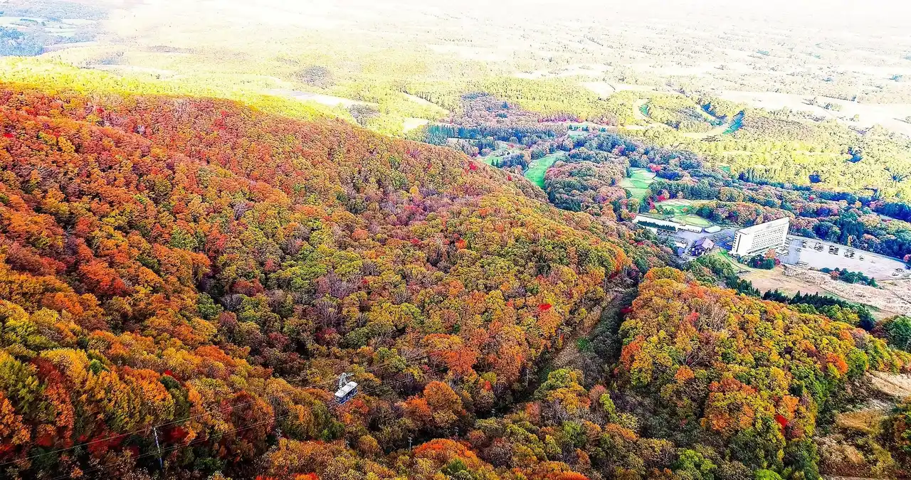 今シーズン新たに早朝運行も開始　雫石紅葉ロープウェー『秋の空中散歩＆Autumn Walk』を開催【雫石プリンスホテル・スキー場】