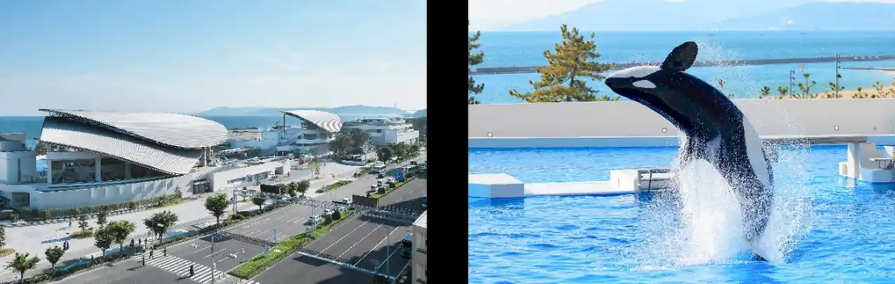 【グランビスタ ホテル＆リゾート】 【神戸須磨シーワールド】兵庫県神戸市のふるさと納税返礼品に「神戸須磨シーワールド」の入館チケットが登場