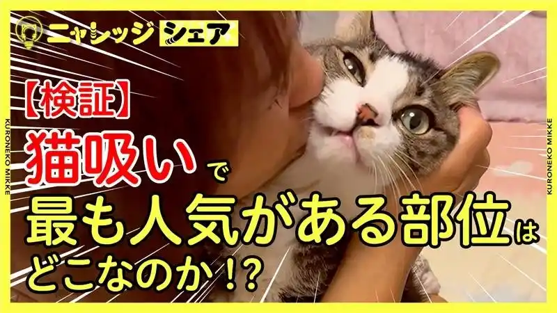 【ヤマト運輸株式会社】 【全国の猫好き必見！】猫吸い人気ランキング　気になる1位は「頭」！？【検証】猫吸いで最も人気がある部位はどこなのか！？7月30日（水）から公開！