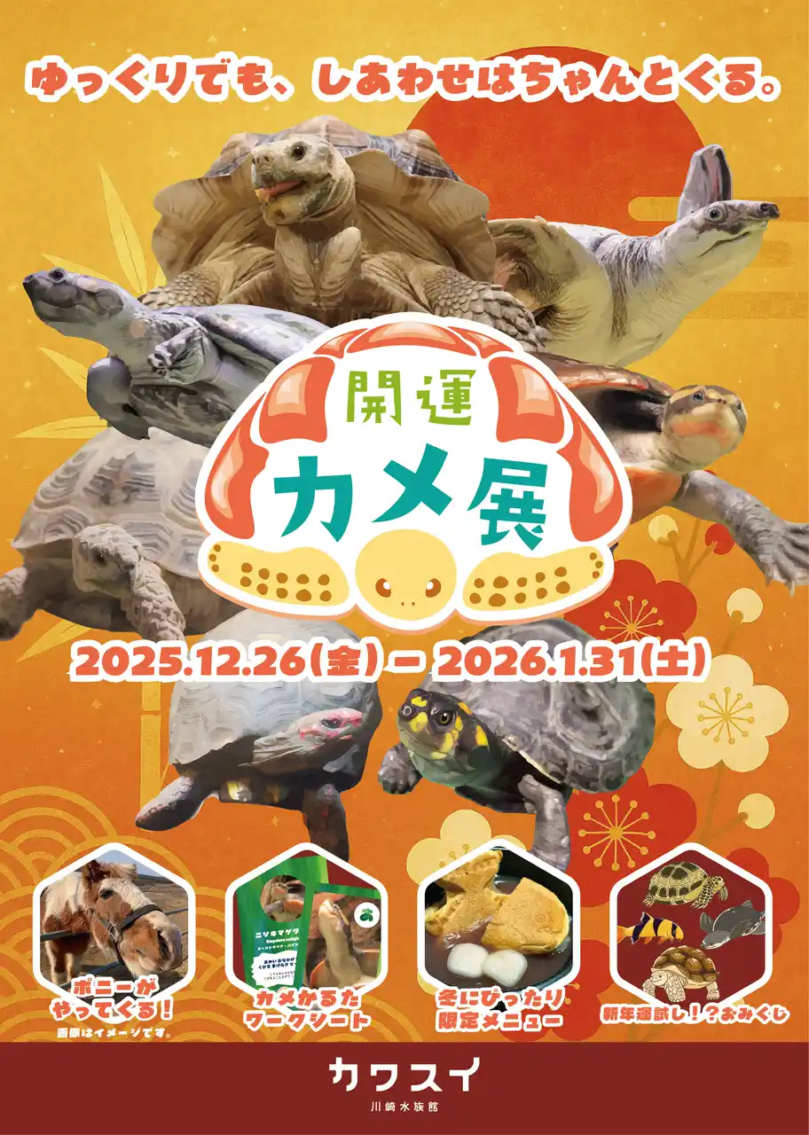 【株式会社MOFF】 【カワスイ 川崎水族館】縁起の良いカメ＆干支のポニーが集合！家族で楽しむ「開運カメ展」を12月26日より開催！