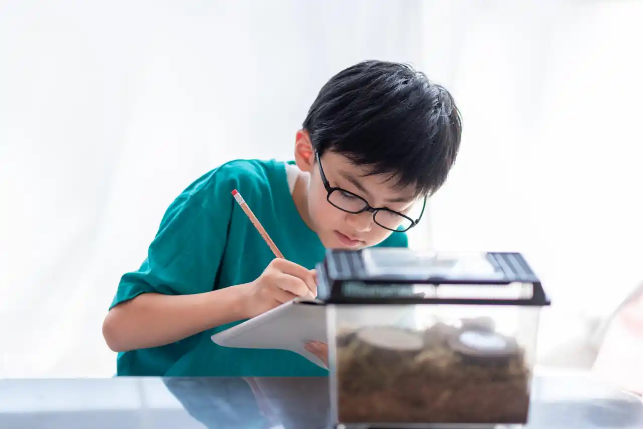 【アクトインディ株式会社】 【2025年自由研究調査１.】子どもの8割が前向き！人気テーマと進め方を分析／いこーよ総研ユーザーアンケート