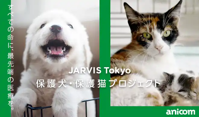 【アニコムグループ】 『JARVIS Tokyo保護犬・保護猫プロジェクト』を開始