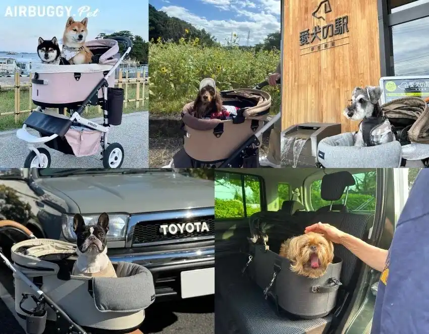 【株式会社GMPインターナショナル】 愛犬との旅行に役立つ！旅の主役は“移動時間”だった。ペットとのロングドライブに必要な5つのこと