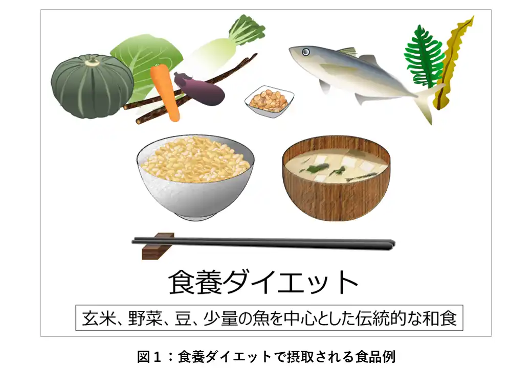 『食養』に基づく玄米中心の和食の継続は健康的な腸内細菌叢の形成に寄与することを解明