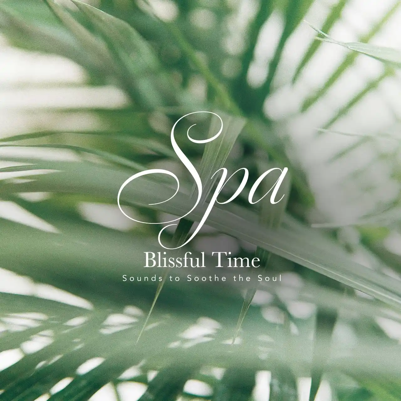 【株式会社クロア】 “うつくしい睡眠時間”をととのえるスパ音楽｜CROIX HEALING新作『SPA Blissful Time』で静かな夜を
