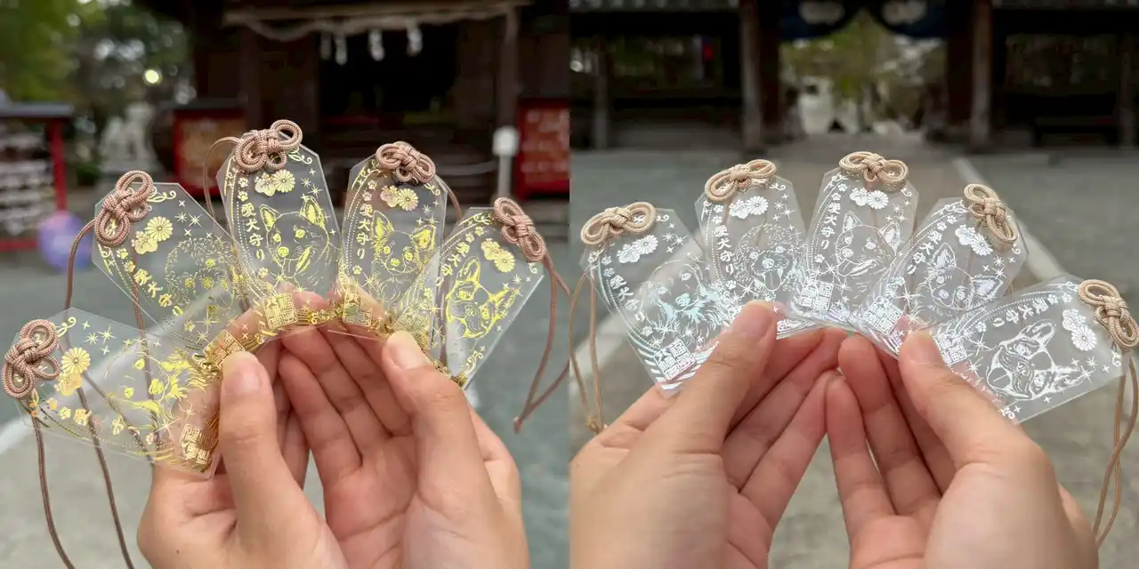 福島八幡宮「わんわんわんの日(11月1日)」にあわせて、新たな授与品『愛犬守り』『ペット御守』『切り絵御朱印 チワワ』の三種を頒布開始