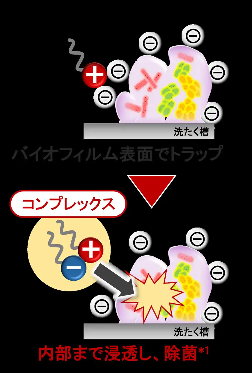 【花王株式会社（ニュースリリース）】 洗たく槽のバイオフィルム内の菌も除菌*1　衣類への菌移行を抑制する、衣料用洗剤の新技術を開発