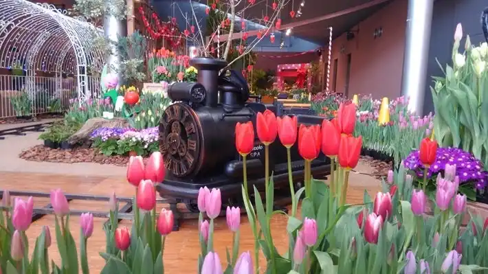 【JAF富山】「第40回春を呼ぶチューリップ展」にJAFブースを出展！楽しみながら交通安全について学びましょう