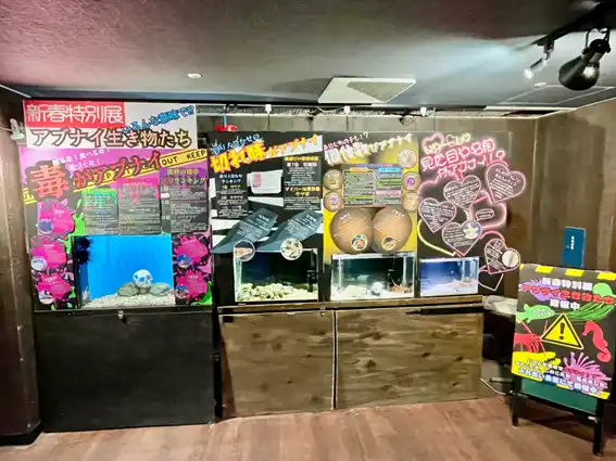 【株式会社伊勢夫婦岩パラダイス】 海の生きものを“ちがう視点”で楽しむ！『新春特別企画展』開催！！