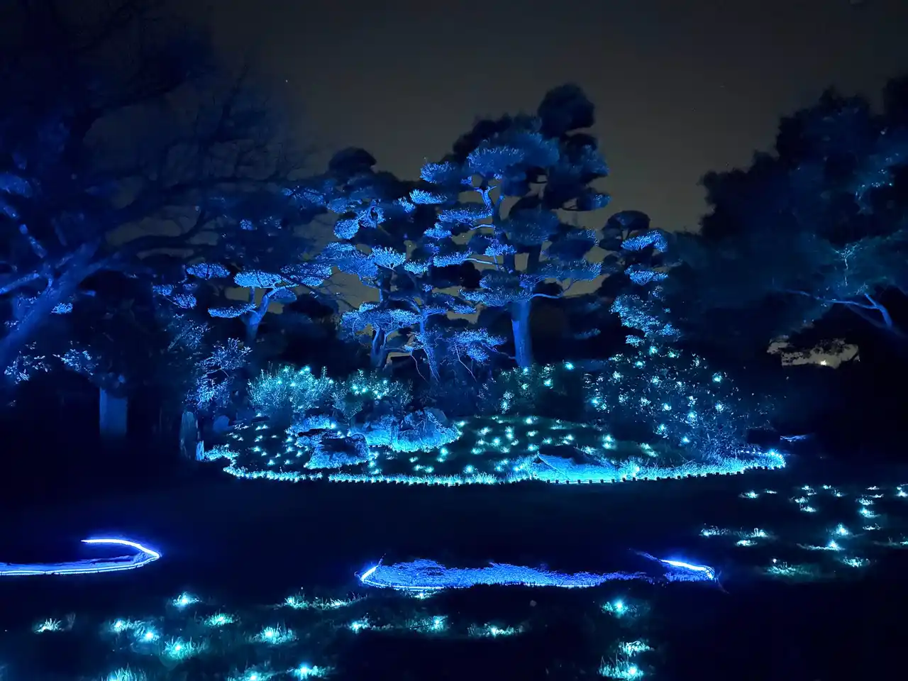 【non-classic株式会社】 永寿院の庭にひろがる“光の気配”|福岡「博多旧市街ライトアップウォーク2025 千年煌夜」にてデジタルアート作品展示