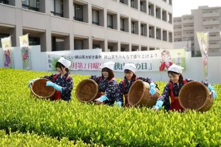 【埼玉県入間市】”市役所の茶畑”で新茶を五感で体感する「八十八夜　新茶まつり」開催