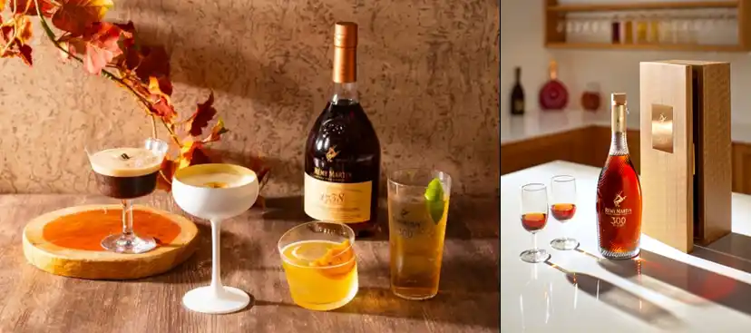 【レミー コアントロー ジャパン】 空に響く300年の調べ　レミーマルタン　カクテルフェア開催、星を狙うケンタウロスが奏でる唯一無二の一杯を京王プラザホテルで体感