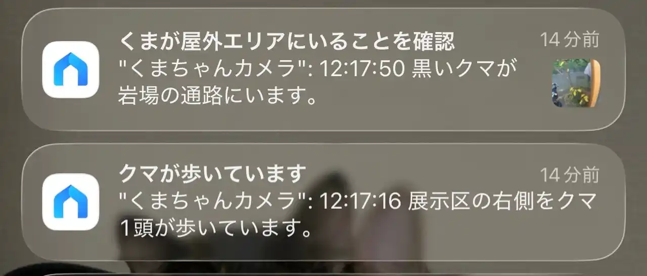 【ティーピーリンクジャパン株式会社】 TP-Link、AIアシスタント「Tapo AI」を日本市場へ導入準備開始