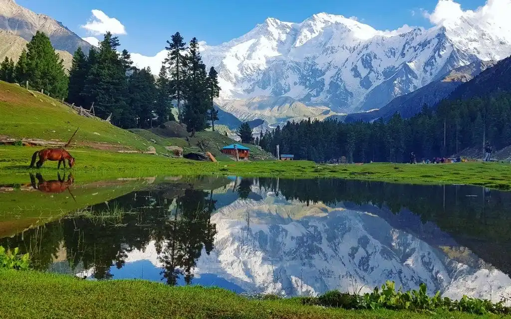 【パキスタンパビリオン】 2025年大阪・関西万博でカイバル・パクトゥンクワ州の投資ポテンシャルを発信する「パキスタン―日本、 貿易・投資フォーラム」を7月17日に開催