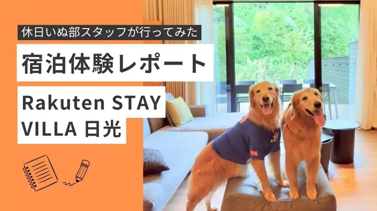 11月1日「犬の日」記念！ 「休日いぬ部」での「Rakuten STAY VILLA 日光」宿泊体験レポート公開に合わせて、お得な宿泊プランの販売開始