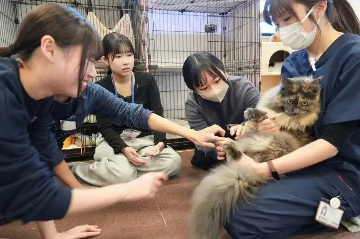 【ＮＳＧグループ】 【姉妹校コラボ授業】「動物×こども」で「命」について考える