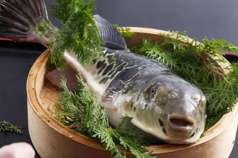 【株式会社丹友商事】【お部屋でゆったり】京都で味わうふぐ料理 心も体も温まる ぷりぷりてっさとふぐ鍋、揚げ物を満喫するふぐ会席プランを予約開始