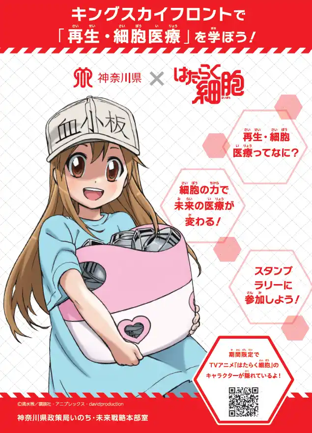 【神奈川県】 大人気アニメ『はたらく細胞』とコラボした「再生・細胞医療」の取組を紹介！