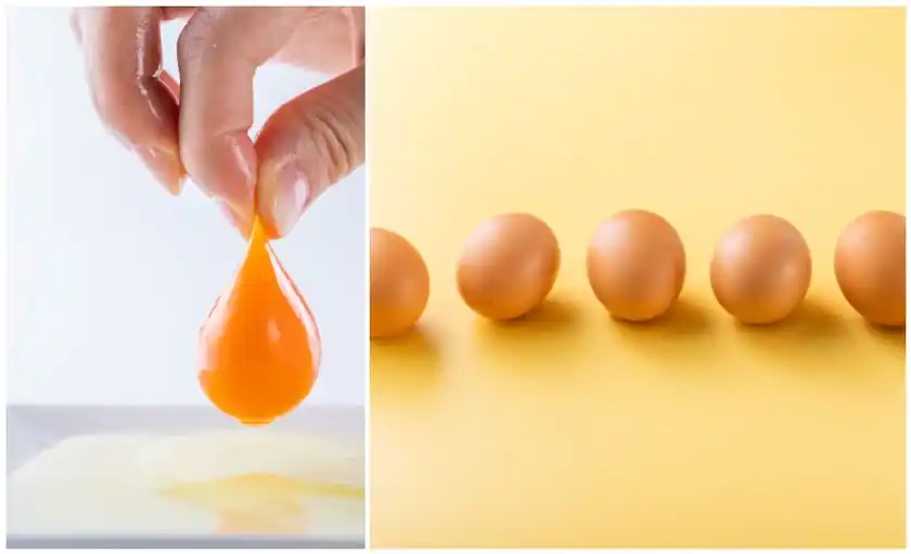 道の駅常総オリジナル「天てり卵」