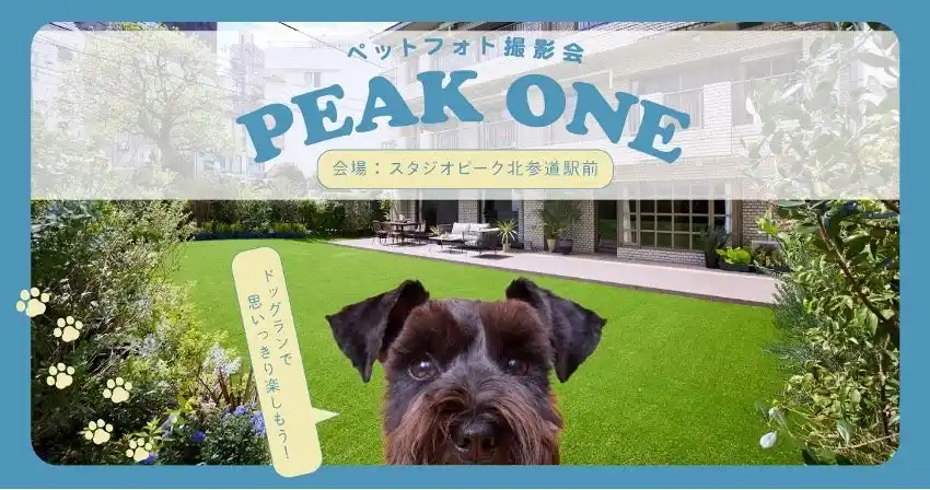 【株式会社クライマーズ】 都心で叶える“ペットと家族の特別な1枚”