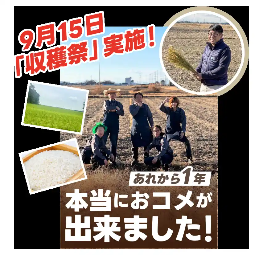 "お米の初「収穫祭」を実施" 9月15日に社内イベント
