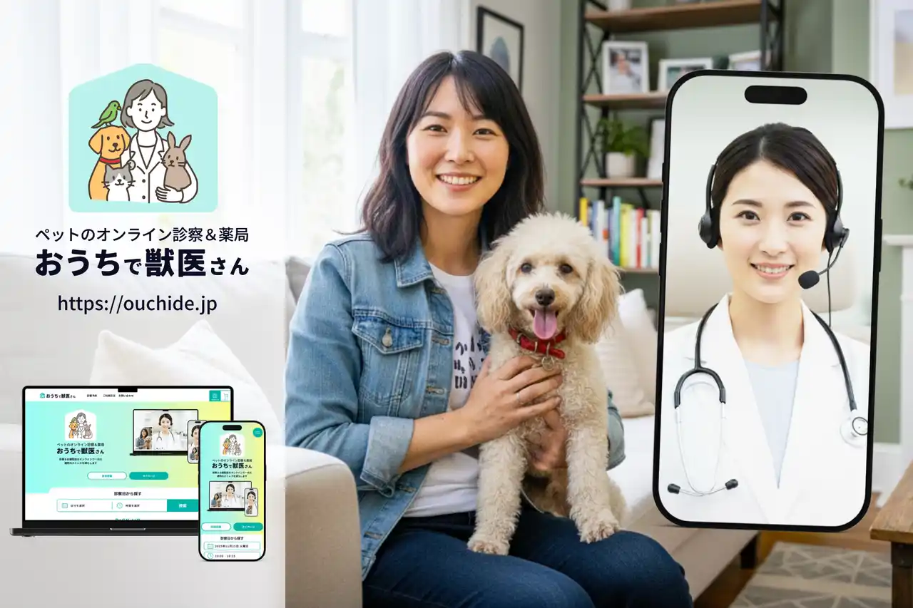 ペット医療の地域差と通院負担を軽減 全国の獣医師を選んで予約できる「おうちで獣医さん」3月17日オープン