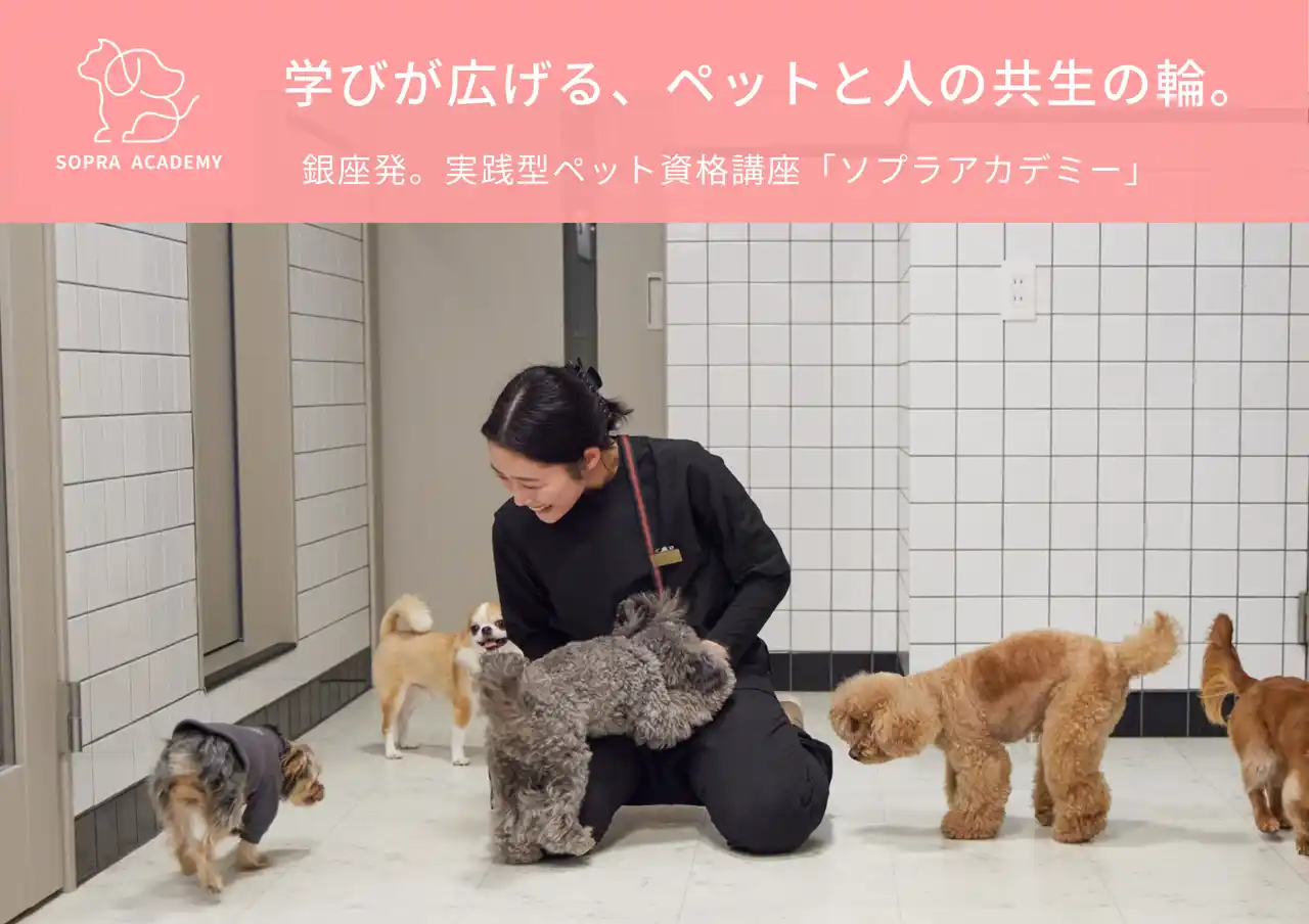【ソプラ銀座株式会社】 ＜ソプラ銀座＞ペットと人の未来を育む学び ― ソプラアカデミー開講