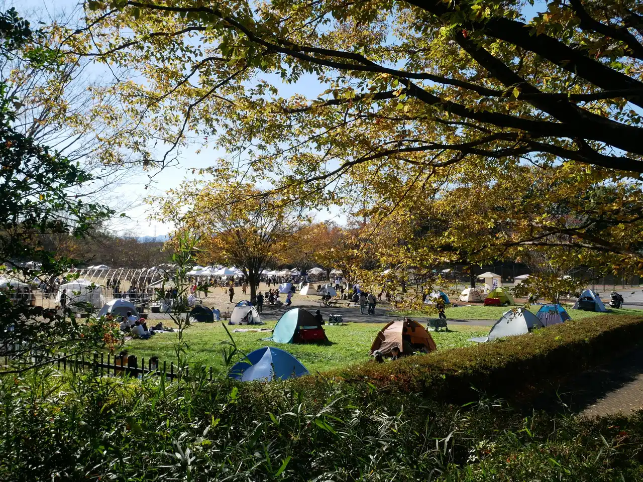 森林公園 最大の青空マルシェ 『NEW HOLIDAY』開催します（国営武蔵丘陵森林公園）