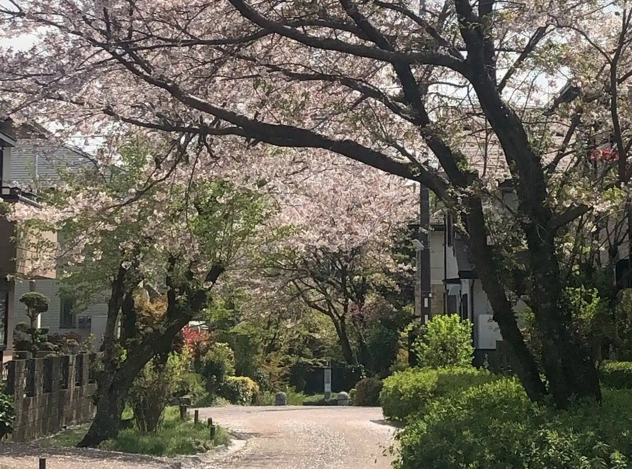 【旭化成ホームズ株式会社】 第21回住まいのまちなみコンクール最高位「国土交通大臣賞」受賞 分譲地開発から35年が経過した「佐賀県基山町けやき台」