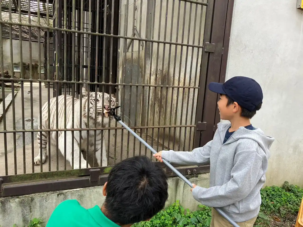 【株式会社リソー教育】 【夏休みの過ごし方】飼育員のお仕事に挑戦してみよう！