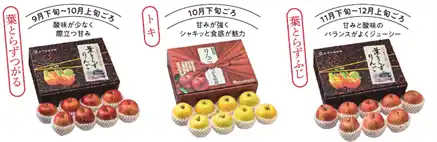 【コープデリ生活協同組合連合会】 【コープデリ】青森県「JAつがる弘前」のりんご生産を応援「りんご生産者サポート」サポーター募集