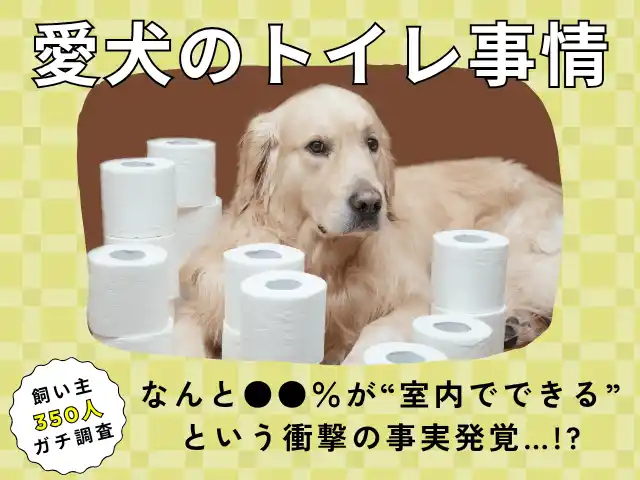 【株式会社エイト】 【飼い主350人に調査】犬のトイレ事情が激変！●●％が“室内トイレ派”という衝撃データ