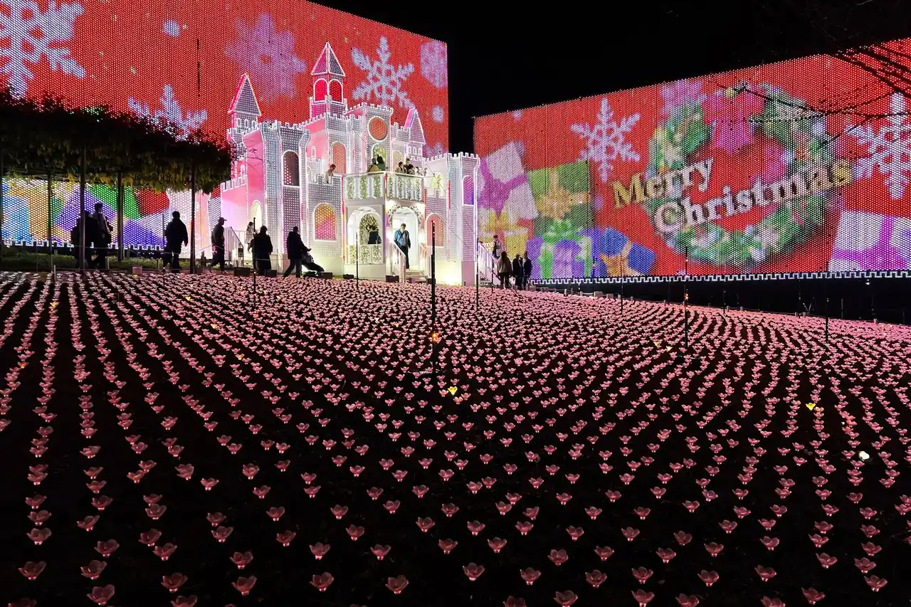 イルミネーションアワードで10年連続ランキング全国第1位の『あしかがフラワーパーク』で最高のクリスマスを！