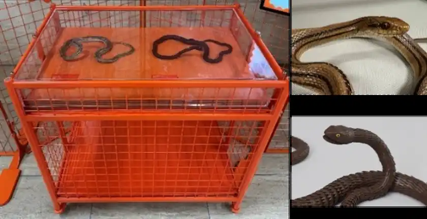 【展示台2】レプリカ展示台