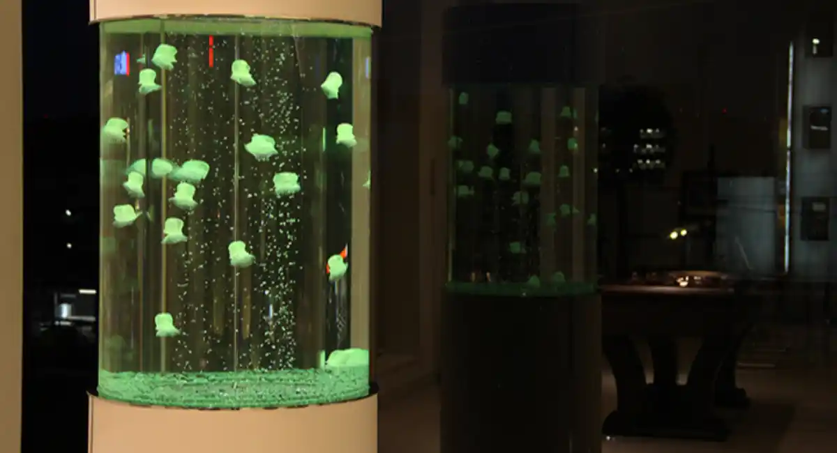 【徳島県限定】オフィス・医療・飲食店に“癒し”を。人工クラゲ水槽の無料導入相談を受付（〜5/29〈金〉）｜想芸館