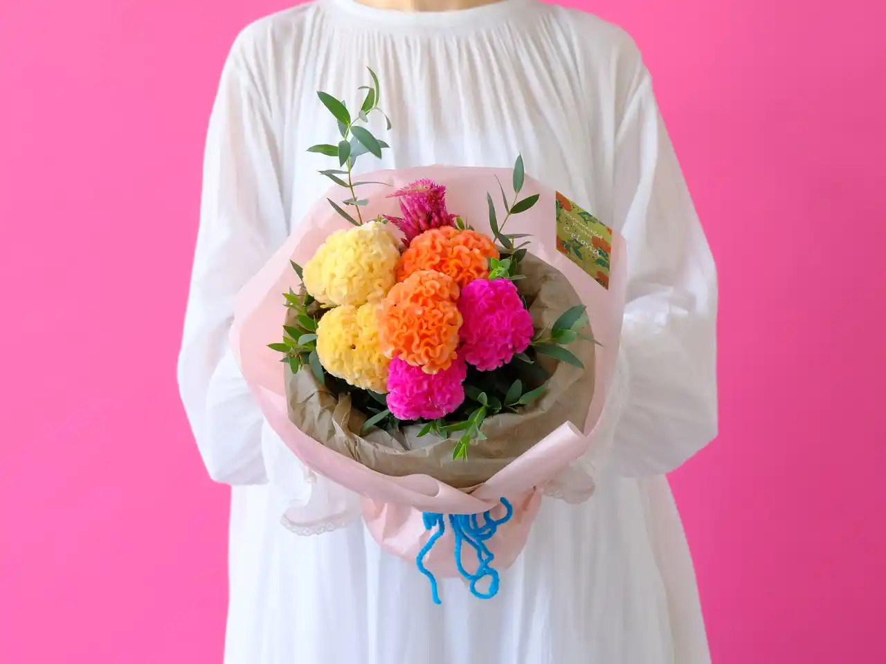 カラフルに秋を楽しむ 「 ケイトウ」で彩る9月の暮らし ベルベットのような質感と秋色で季節の移ろいを美しく演出！