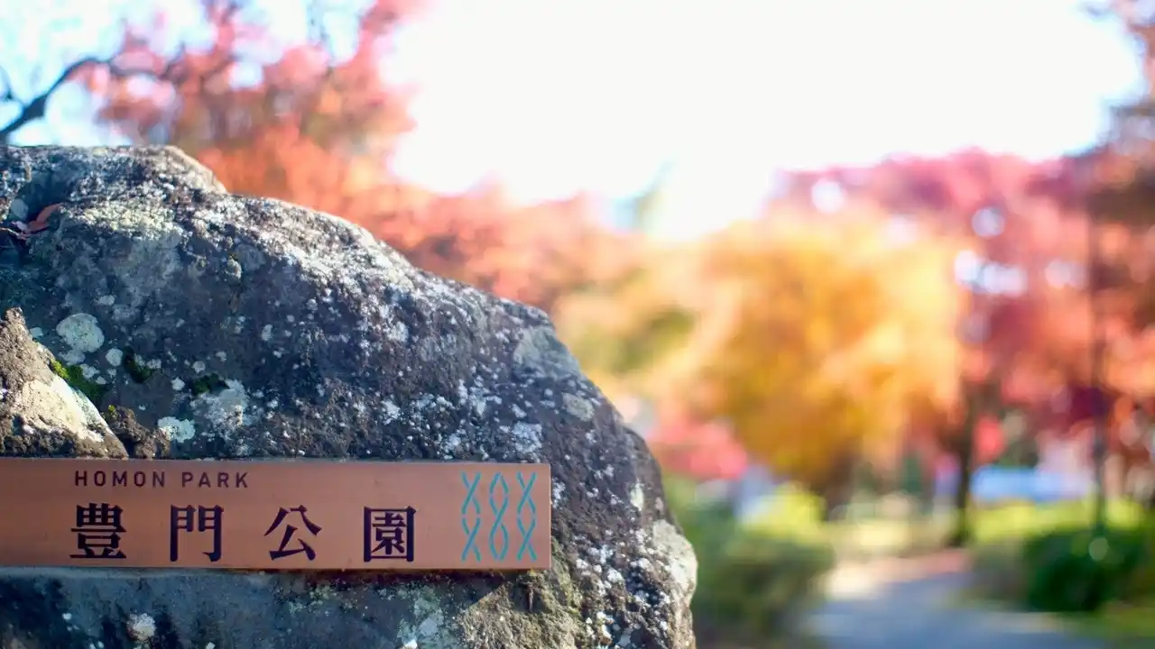 【例年を超える来場者数！】静岡県小山町「豊門公園もみじまつり」開催！多彩なステージと食で賑わう