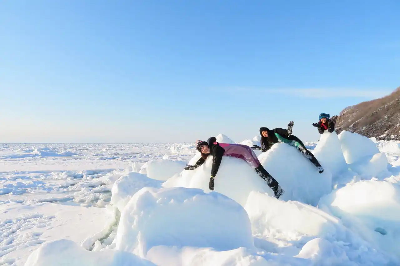 【株式会社ジャルパック】 オホーツク流氷紀行3・4日間～冬の網走・知床をたずねて～　８月2８日（木）14：00発売