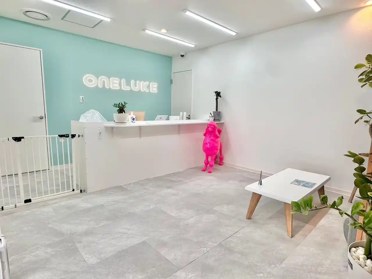 【日本ペットホテル協会株式会社】 横浜都筑区に84店舗目をオープン