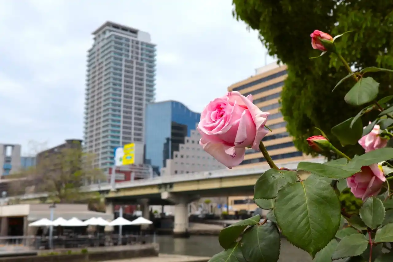 【株式会社ナビット】 2026年4月版のデータ整備を行いました。